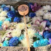 ヒメ日記 2026/03/20 07:36 投稿 里山いと おもてなし妻