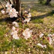 ヒメ日記 2026/03/28 08:01 投稿 里山いと おもてなし妻