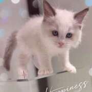 ヒメ日記 2025/09/11 13:37 投稿 しお 池袋あられ