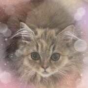 ヒメ日記 2025/09/28 17:31 投稿 しお 池袋あられ