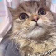 ヒメ日記 2025/10/08 15:04 投稿 しお 池袋あられ