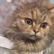 ヒメ日記 2025/10/15 16:02 投稿 しお 池袋あられ