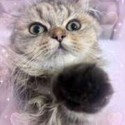 しお しお早めに到着しました！！ 池袋あられ