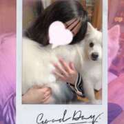 ヒメ日記 2026/01/05 15:11 投稿 しお 池袋あられ