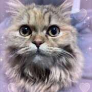 ヒメ日記 2026/01/14 17:37 投稿 しお 池袋あられ