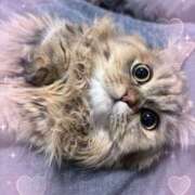 しお しお到着してます！ 池袋あられ