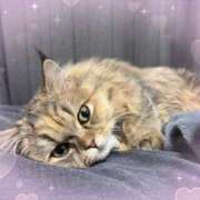 しお しおいます！ 池袋あられ