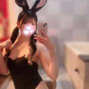 ロゼ【元アイドルバニー】 3度のー！？！？ バニーコレクション 中洲店