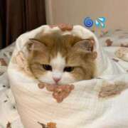 ヒメ日記 2026/02/11 15:57 投稿 ロゼ【元アイドルバニー】 バニーコレクション 中洲店