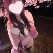 ヒメ日記 2026/06/06 01:18 投稿 ロゼ【元アイドルバニー】 バニーコレクション 中洲店