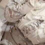 ヒメ日記 2025/08/14 19:11 投稿 きら スッキリ！！日本橋店