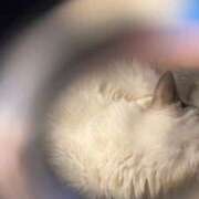 ヒメ日記 2026/04/14 15:46 投稿 きら スッキリ！！日本橋店