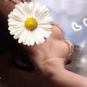 ヒメ日記 2025/08/31 16:49 投稿 黒川　えいこ 未熟な人妻