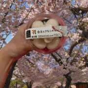 リカ リカのハマってるもの🥹 ピカソ