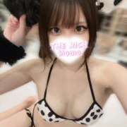 ヒメ日記 2026/07/06 08:20 投稿 Momo THE RICH