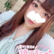 ヒメ日記 2025/09/08 15:24 投稿 ゆきの 池袋ぱんぷきん（シンデレラグループ）