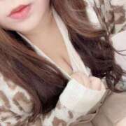 ヒメ日記 2025/11/19 19:18 投稿 ゆきの 池袋ぱんぷきん（シンデレラグループ）