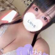 ヒメ日記 2025/12/15 17:48 投稿 ゆきの 池袋ぱんぷきん（シンデレラグループ）