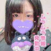 ヒメ日記 2025/12/17 16:38 投稿 ゆきの 池袋ぱんぷきん（シンデレラグループ）