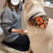 ヒメ日記 2025/10/27 11:17 投稿 まりあ 川崎ソープ　クリスタル京都南町