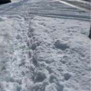 ヒメ日記 2026/01/07 22:07 投稿 よしの Grace東京