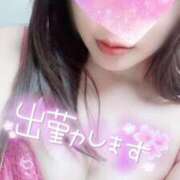 よしの 明日19時から！ Grace東京