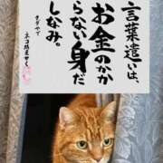 ヒメ日記 2026/02/12 14:25 投稿 りつ 熟女の風俗最終章 錦糸町店