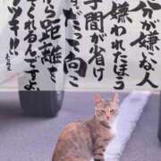 ヒメ日記 2026/02/26 13:25 投稿 りつ 熟女の風俗最終章 錦糸町店