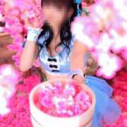 ヒメ日記 2026/04/09 16:46 投稿 りつ 熟女の風俗最終章 錦糸町店