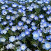 ヒメ日記 2025/08/26 12:13 投稿 つばさ eroina