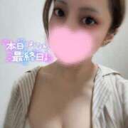 ヒメ日記 2025/08/16 15:03 投稿 松風　かほの ベルサイユの薔薇