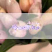 ヒメ日記 2026/02/01 02:32 投稿 松風　かほの ベルサイユの薔薇