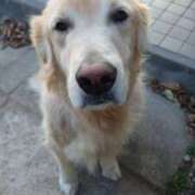 まり てすと マリアージュ大宮