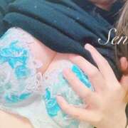 ヒメ日記 2025/12/16 05:21 投稿 せな 那須塩原人妻花壇