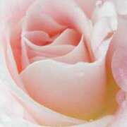 ヒメ日記 2026/04/03 12:16 投稿 美由紀 出会い系人妻ネットワーク錦糸町～小岩編