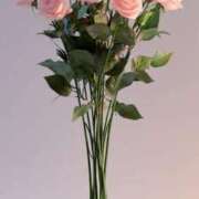 ヒメ日記 2026/04/06 12:15 投稿 美由紀 出会い系人妻ネットワーク錦糸町～小岩編