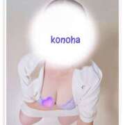 ヒメ日記 2025/09/04 17:42 投稿 このは 人妻洗体倶楽部