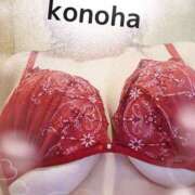 ヒメ日記 2025/09/28 14:36 投稿 このは 人妻洗体倶楽部