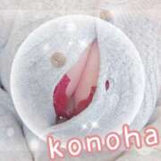 ヒメ日記 2025/11/15 10:57 投稿 このは 人妻洗体倶楽部