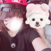 ヒメ日記 2025/09/06 17:33 投稿 メイラ きらめけ！にゃんにゃん学園in大宮