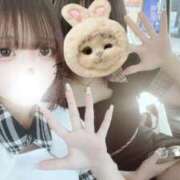 ヒメ日記 2025/09/08 19:49 投稿 メイラ きらめけ！にゃんにゃん学園in大宮