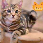 ヒメ日記 2025/11/07 19:35 投稿 なほ 性腺熟女100％（デリヘル市場）