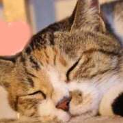 ヒメ日記 2025/12/22 15:45 投稿 なほ 性腺熟女100％（デリヘル市場）