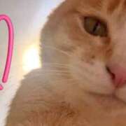 ヒメ日記 2026/02/18 19:25 投稿 なほ 性腺熟女100％本店（デリヘル市場）