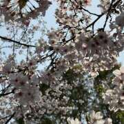 ヒメ日記 2026/04/01 19:41 投稿 にじ 神田はっち