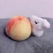 ヒメ日記 2025/10/31 22:02 投稿 すい 東京エステコレクション 新橋・銀座