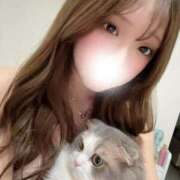 ヒメ日記 2025/10/12 19:21 投稿 ういな【激カワ神乳大学生】 STELLA TOKYO－ステラトウキョウ－