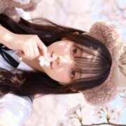 ヒメ日記 2026/04/17 06:40 投稿 ういな【激カワ神乳大学生】 STELLA TOKYO－ステラトウキョウ－