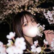 ヒメ日記 2026/04/23 13:23 投稿 ういな【激カワ神乳大学生】 STELLA TOKYO－ステラトウキョウ－