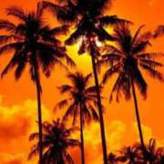 ヒメ日記 2025/10/21 18:04 投稿 星咲セレナ 五十路マダムエクスプレス船橋店(カサブランカグループ)